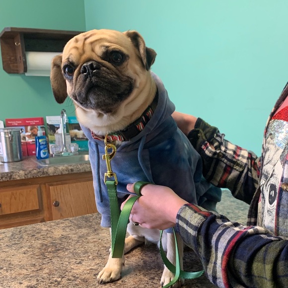 Meet your Posher, Selah - Picture 7 of 12